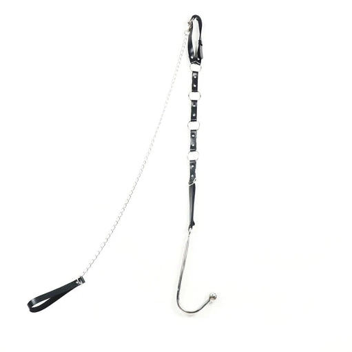 Anal and Hook EverydayUse Collar Kinky Leash 5853 with 0630